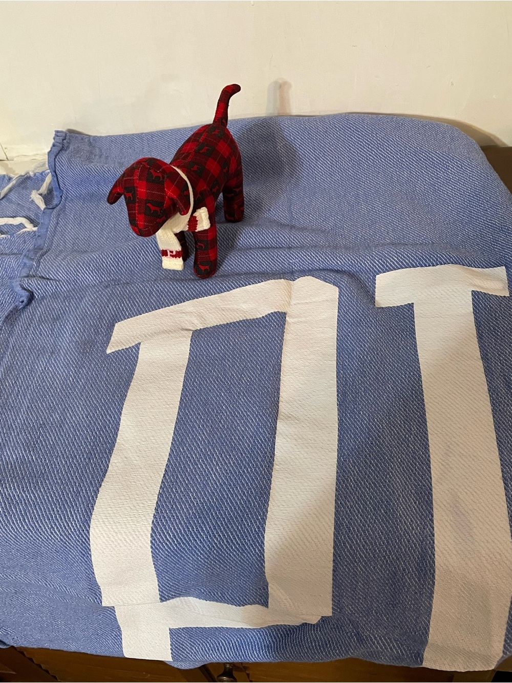 Victoria’s Secret PINK Dog and Throw